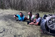 Robó un auto, volcó en un zanjón del Partido de La Costa y fue detenido