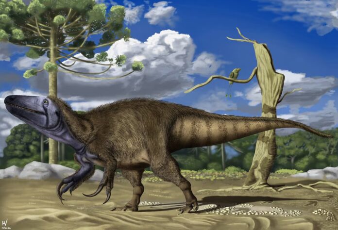 Descubren una nueva especie de dinosaurio carnívoro en la Patagonia: el Rinconraptor pipoae