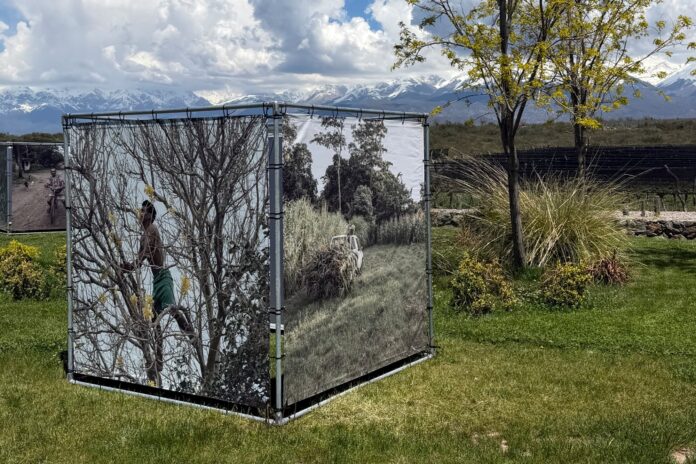 Mendoza se convierte en el epicentro de la fotografía internacional con el Festival Focus